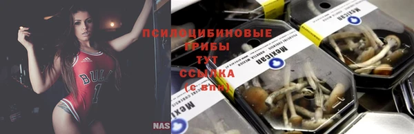 mdpv Костерёво