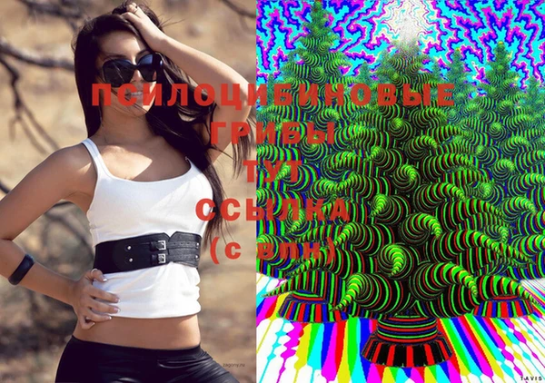 mdpv Костерёво